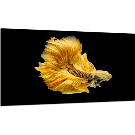 PLAQUE DE PROTECTION EN VERRE POUR CUISINIÈRE 90X52 POISSON (1/5)