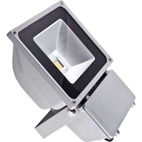 TRADE SHOP - Faro Faretto A Led Ultra Slim A Luce Calda Fredda Rgb Da Per Esterno Ip65 220v - -Bianco Caldo-80 Watt -Slim    -
