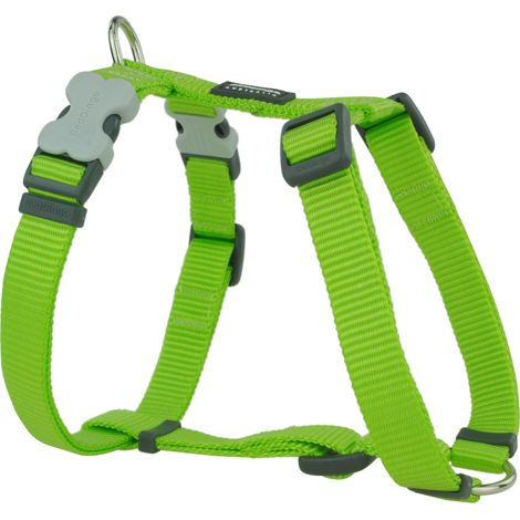 Harnais chien réglable Red Dingo Basic Vert Taille : T1