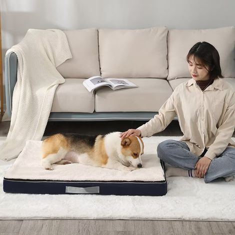 Coussin orthopédique pour chien, oreiller amovible, matelas épais lavable pour grands chiens, matelas blanc et bleu, 100 x 75 x 10 cm (1/3)