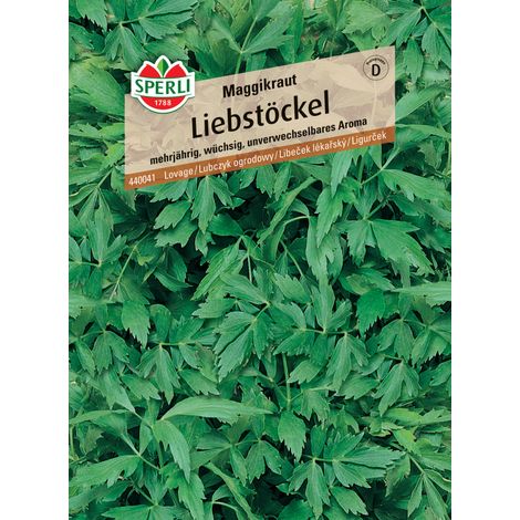 Sperli Liebstöckel Maggikraut (1/2)
