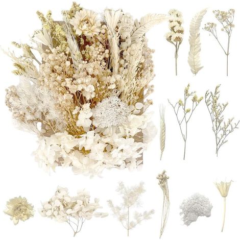 RUGBOL Trockenblumen, gepresste Blumen, Bastelbedarf für DIY, Kunst, Harz, Scrapbooking, Schmuckherstellung, Blumendekorationen (Reinweiß) (1/5)