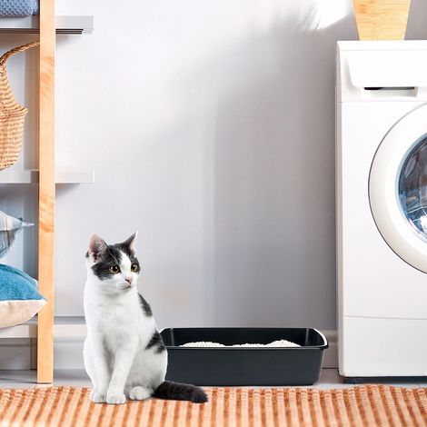 Ferplast Lettiera Gatto Toilette per Gatti Aperta con Bordi Alti 54,5 x (1/5)