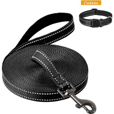 Longe pour Chien 10m, Longue Laisse Réfléchissante, Corde avec Poignée Rembourrée, Laisses de Dressage pour Chiens (1/4)