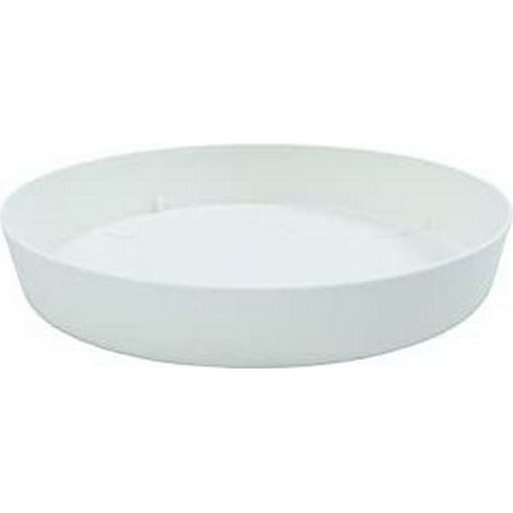 Piatto tondo ø20cm bianco (1/2)