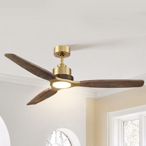 Parrot Uncle Ventilateur Plafond LED 122 cm avec Éclairage, Ventilateur Plafond Silencieux Moteur DC Réversible, Télécommande 6 Vitesses, 3 Pales Bois Massif pour Salon Chambre