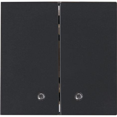 Interrupteur à bascule avec lentille Transparent Compatible avec commutateur hybride Anthracite