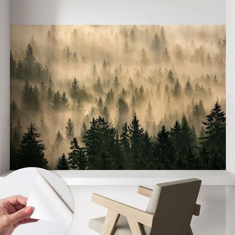 Papier peint adhésif décoratif pour salon chambre et cuisine Facile à poser avec colle Brume forestière 104x70 cm (1/5)