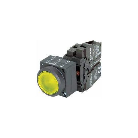 Pulsante Piatto illuminato Led integrato 110v ac terminale a vite, 1NA+1NC con supporto giallo