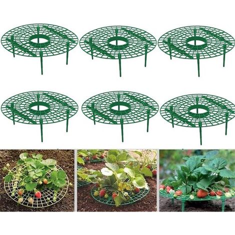 Support pour plantes de jardin - vert - support à fraises - ensemble de supports à fraises - Jardiniers - Standard - Pour Culture - 6 pièces (1/5)