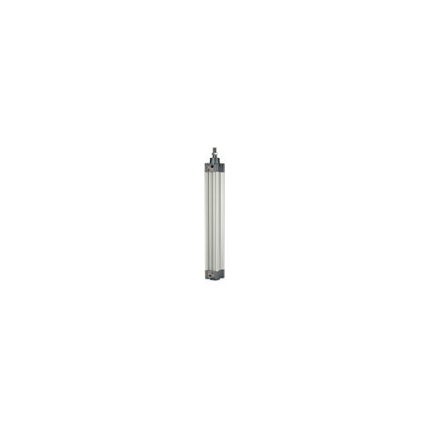 Riegler Normzylinder, doppeltwirk., Magnet, Kolben-Ø 125, Hub 600, G 1/2 (1/2)