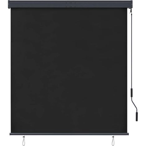 Maison Exclusive - Tenda a Rullo per Esterni 140x250 cm Antracite