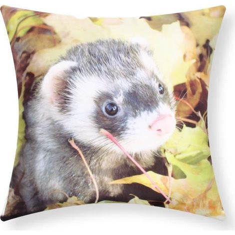 Housses de Coussin - AVIZAR - Lot de 2 - 40x40 cm - Motif Furet - Fibre naturelle (1/5)