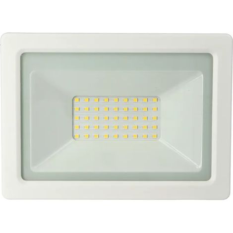 Proiettore LED, 30W, 220Vac, Luce Naturale, Bianco