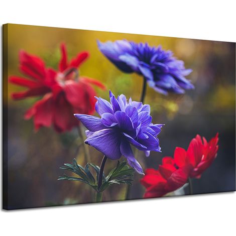 Leinwanddruck Botanik Wildblumen 120x80 cm