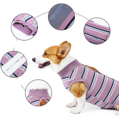 Combinaison de récupération respirante pour chien, vêtements chirurgicaux pour chiots pour la convalescence postopératoire (1/2)