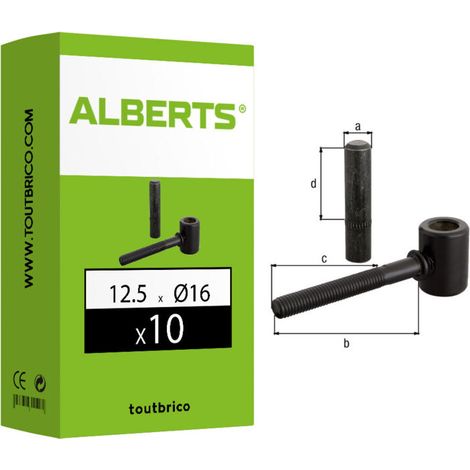 Gond à scellement chimique noir Ø16 x 125 mm – Acier brut pour fixation solide – Lot de 10 – 307424 –
