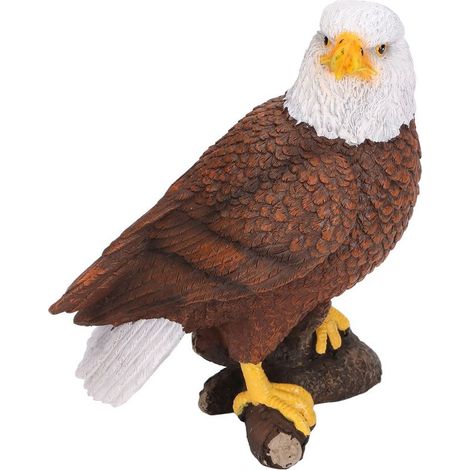 This statue d'aigle to head white has a head pivot, of the details neat and is sturdy and durable. Made of resin, this decoration patriot in shape d'aigle suitable for offices (1/5)