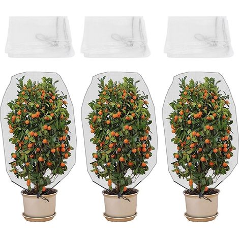 Lot de 3 Filets de Protection Anti-Insectes pour Jardin – Maille de Barrière pour Arbres, Plantes et Fleurs,de DEBUNS (1/5)
