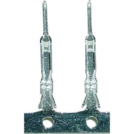 BeMatik - Terminal Metálico MOLEX (M/B Conector Macho) 10pin