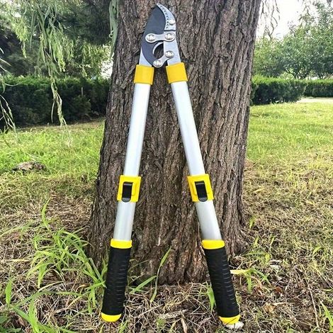 Sécateur télescopique à lame franche, 1 pièce, pour branches fruitières, avec poignée ergonomique, sécateur télescopique (1/5)