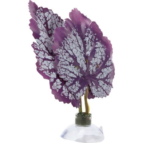 Tapis en forme de feuille pour poisson betta, hamac en plastique avec ventouse pour aquarium. (1/3)