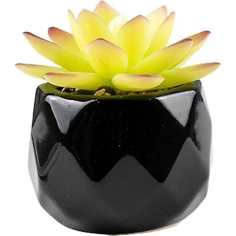 Plante artificielle réutilisable, réaliste, en PVC, facile d'entretien, succulentes artificielles, bonsaï4 (1/5)