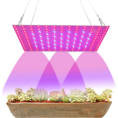 Lampe De Culture Led - 312 LED Plein Spectre Avec Canaux Veg Et Bloom - Pour Plantes D Intérieur Serres Hydroponie - 80 W (1/5)