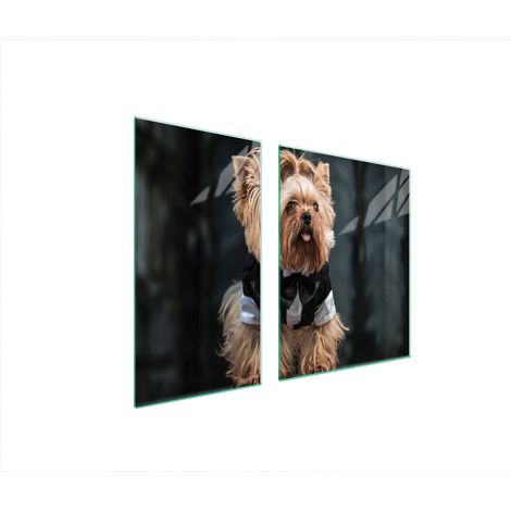 GLASSCHUTZPLATTE FÜR HERD 90x52 HUND (1/5)