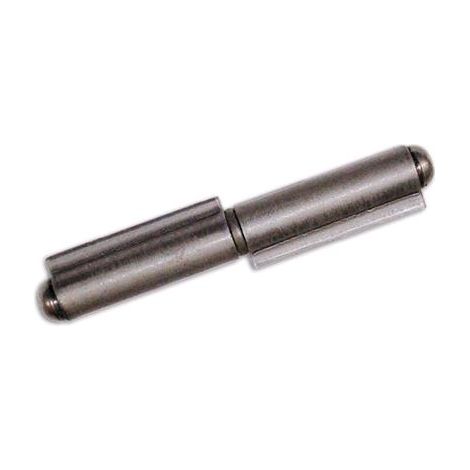 Cerniera per Cancelli 2 Ali a Tappo Misura 170 mm 17 mm Fc 420 conf. 20 PZ