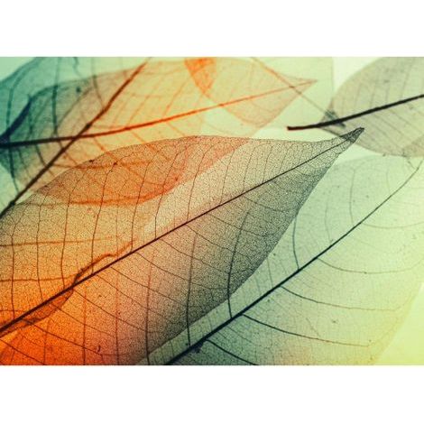 Papier peint panoramique design motif feuille Tapisserie panoramique nature bleue et orange Papier peint panoramique originale pour chambre (1/4)