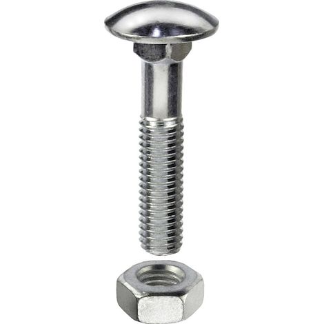 BULL.TTQST ZIN.B DIN603 M8X50 PZ40