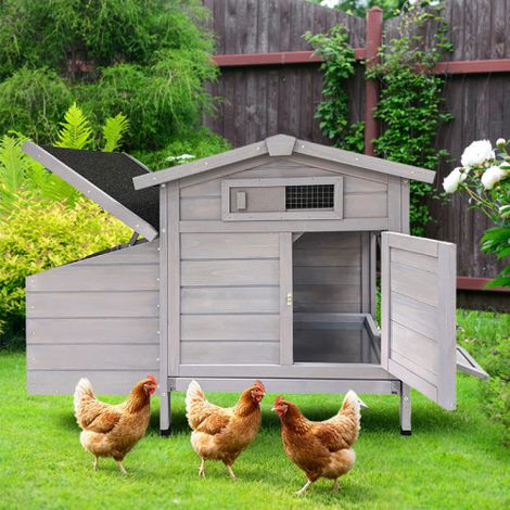 Los gallineros sobre pilotes protegen contra los depredadores y, por lo tanto, son fáciles de limpiar (Gallinero sobre pilotes con nido de madera que protege a las gallinas de los depredadores, nido e (1/5)