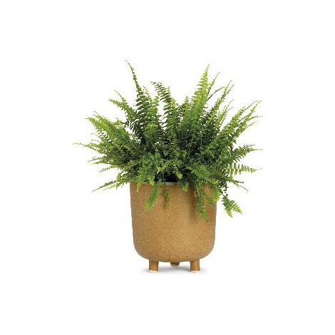 ANDREA HOUSE AX71194 Maceta Cerámica Beige Ø21,5X23 Cm - ref: AX71194