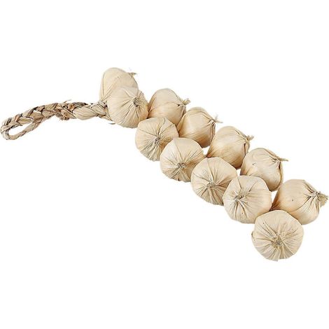 Ail artificiel en aiguille pour la décoration de la maison, de la cuisine, du jardin et de l'intérieur (1/5)