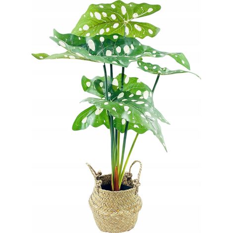 Pianta artificiale eurofirany Home Styling Collection verde 30x51 cm