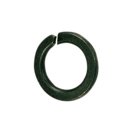 SC RONDELLA GROWER D 12 MM DA  50 PZ- 1,0 pz