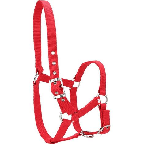Sangle épaisse haute densité de 6mm, contrôle de bride de cheval, licou, accessoires d'équitation, couleur rouge (1/5)