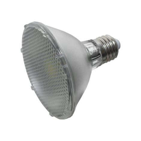 Lampada LED 1 x 10W 1100 Lumen Luce Bianca 6500K