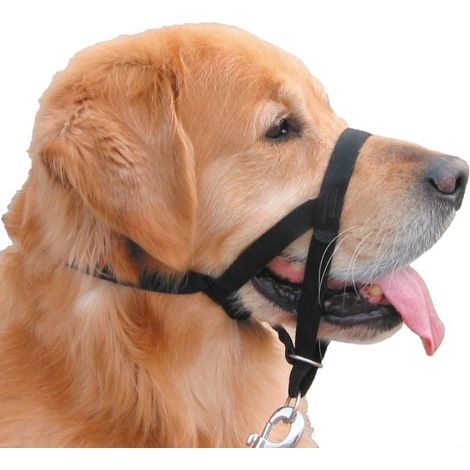Nobby – Licol d'éducation et de dressage Easy Leader – Noir, taille 4 (XL), pour grands chiens (1/2)