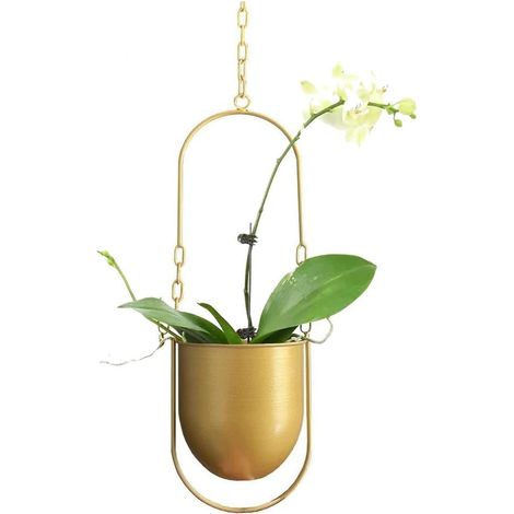 Dekorativer Hängeampel aus Metall im Boho-Stil, Hängekorb für Zimmerpflanzen wie Sukkulenten, Luftpflanzen und Kakteen (gold) (1/3)