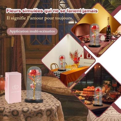 Roses Éternelles Sous Les Cloches - Cadeaux Pour Femmes - Fleurs Éternelles Sous Les Cloches - Cadeaux Romantiques Pour Femmes (1/5)