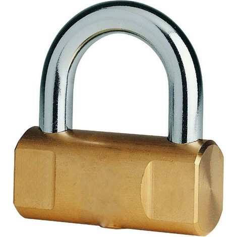 TrAdE Shop Traesio - Lucchetto Ad Arco Corto 50 Mm Corazzato Blocca Corona Moto Bici Nautico Marino -