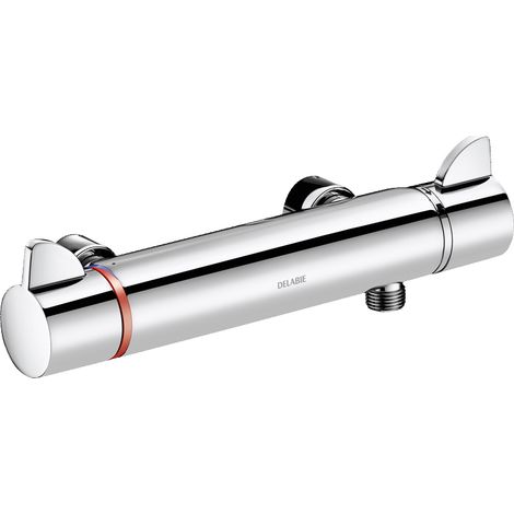 Delabie Brausethermostat SECURITHERM Securitouch, ohne S-Anschlüsse (1/3)