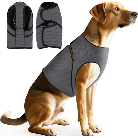 Gilet Anti-Stress Pour Chien - Mesh Respirant Ajustable - Calme Anxiété Orage Voyage - Taille XS À 3XL - Bleu (1/5)