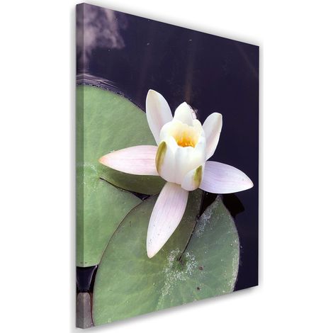 Tableau sur toile Nénuphar fleurs nature 40x60 (1/5)