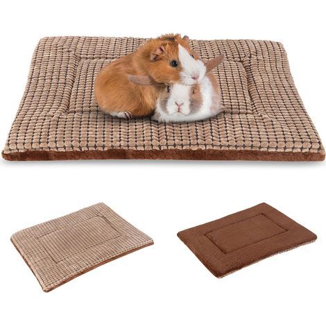 Wendbare Hundematte, hochdichter Schaumstoff, waschbar, für Autobox, Zuhause (1/5)