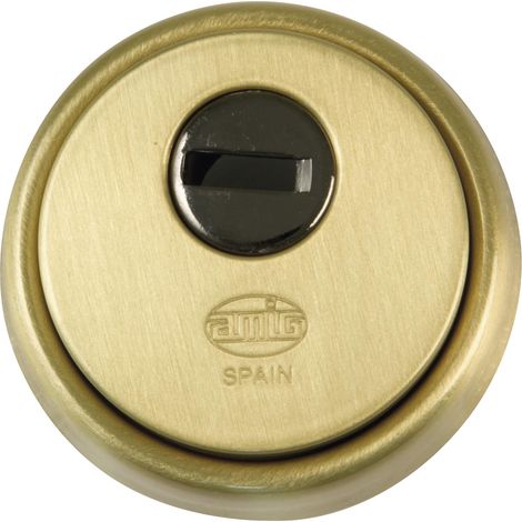 Scudo in ottone opaco massiccio 65mm mod. 30 6358 amici (1/4)
