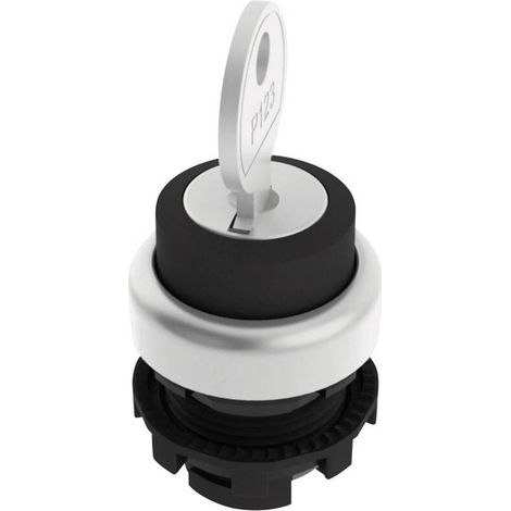 [NEUWERTIG] B-Ware Pizzato E21SC2DVA19AA Schlüsselschalter Schwarz 1 x 90 ° Schalter Betätiger (1/2)