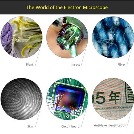 Microscope numérique USB à grossissement 1000x, loupe de caméra à 8 LED intégrée avec support de base, prise en charge pour téléphones Windows XP/Vista/Win 7 10/Android (1/5)